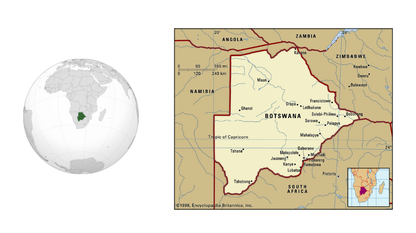 The Bosguana (Suriname Boa) Care Guide: What You Really Need to Know